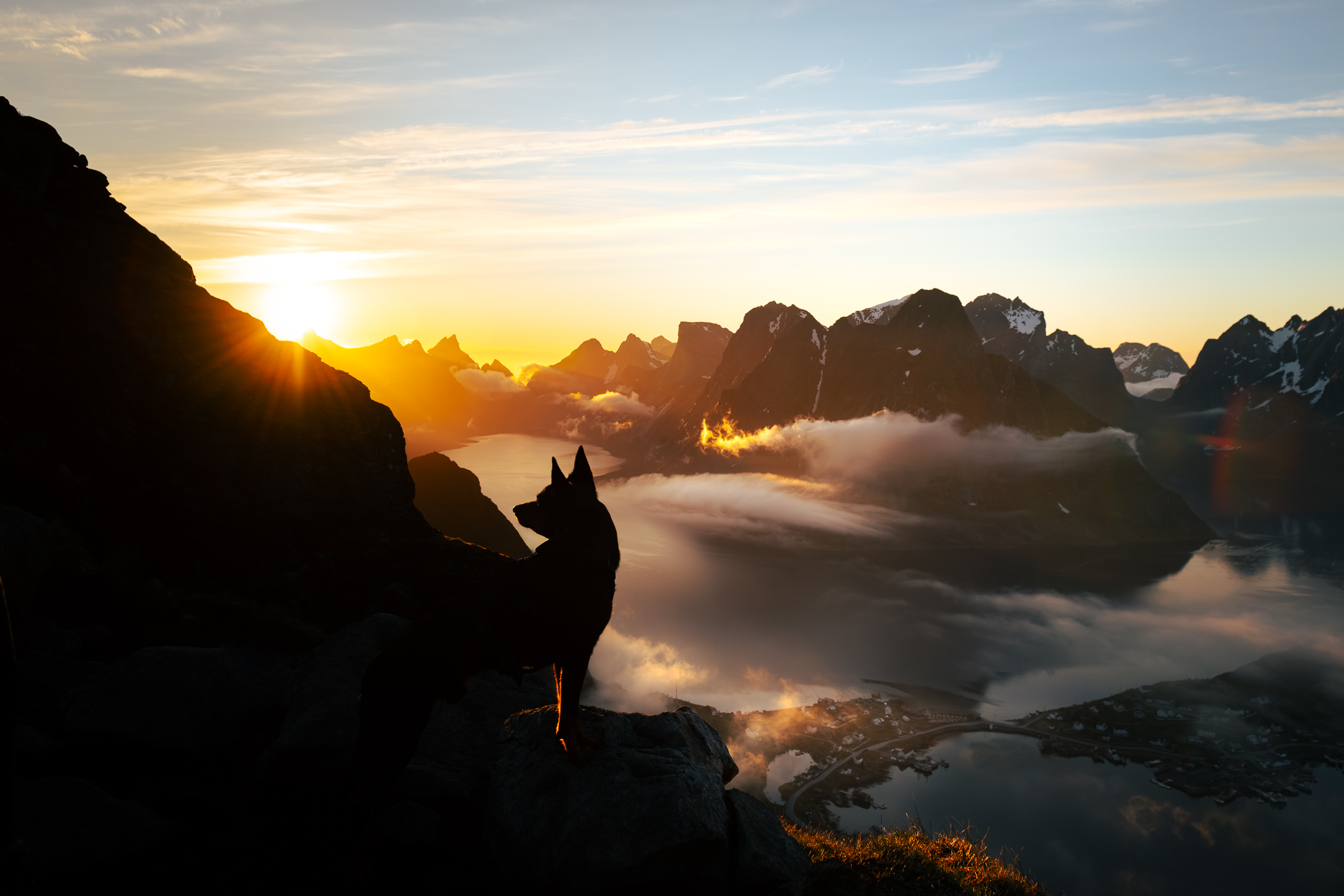 Landschaftsfotografie Norwegen mit Hund – Weite Fjordlandschaft im Licht der Mitternachtssonne